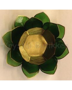 lotus lampe grøn