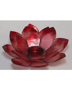 Lotus-lysestage-dark red