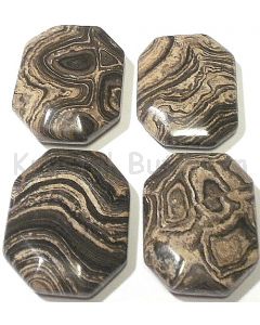 Stromatolit ¤