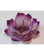 lotus-lysestage-purple