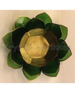 Lotus grøn
