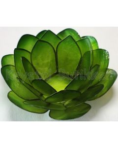 Lotus stage lys grøn
